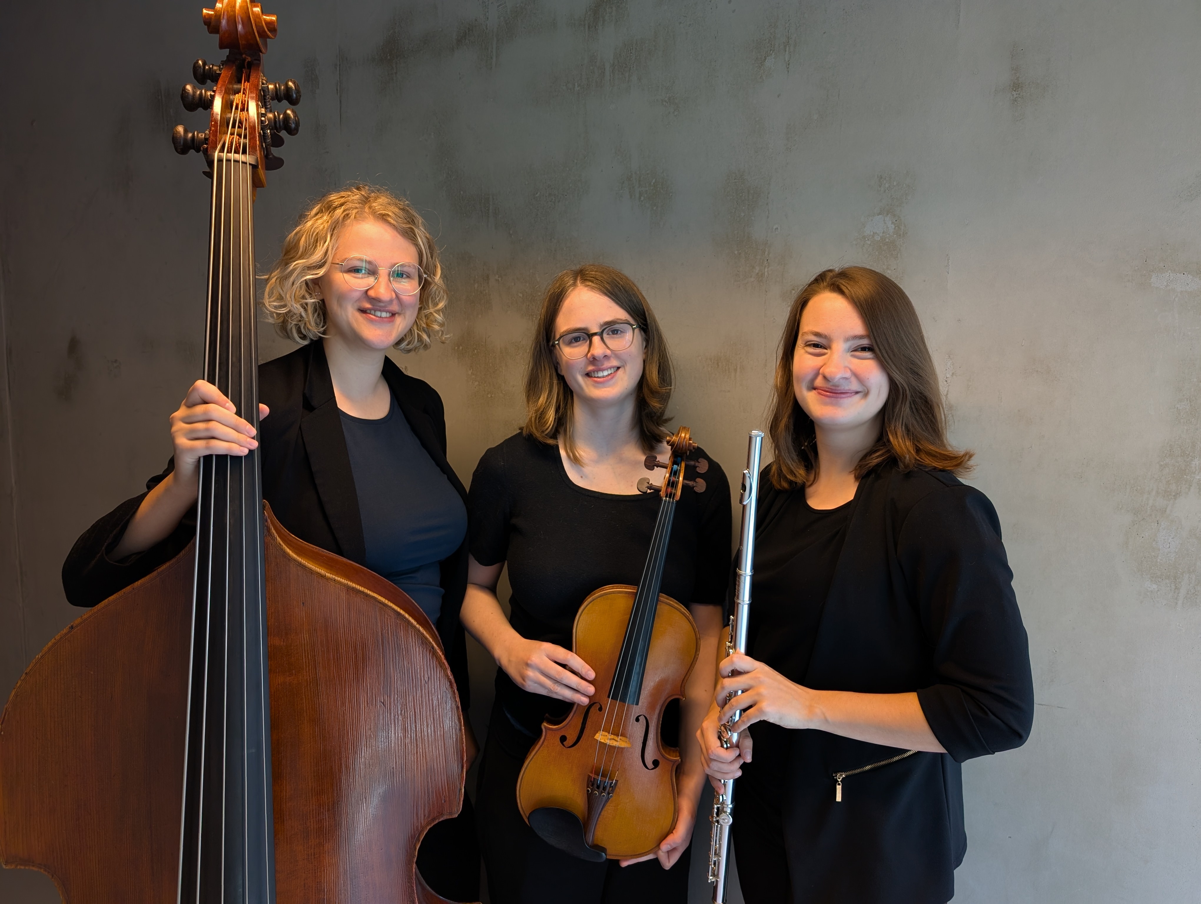 Schulhoff Trio
 Stichting Kamermuziek Hengelo in Schouwburg Hengelo, Hengelo