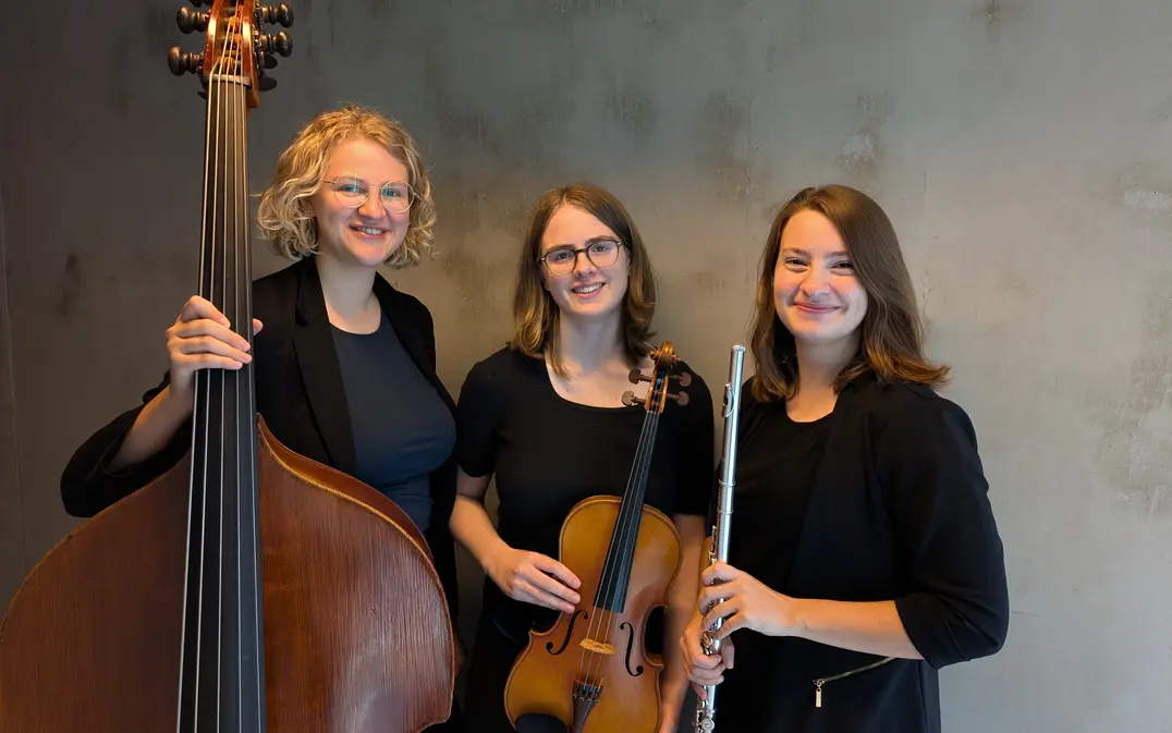 Schulhoff Trio grijze achtergrond