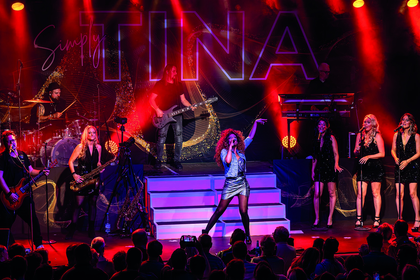 Simply Tina The Best of Tina Turner Marc Herrmann 2