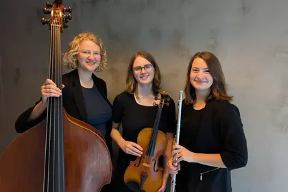 Schulhoff Trio grijze achtergrond