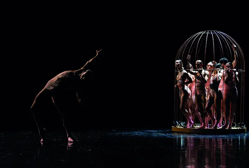 IID Company Flamingo Sylvain Guillot 2